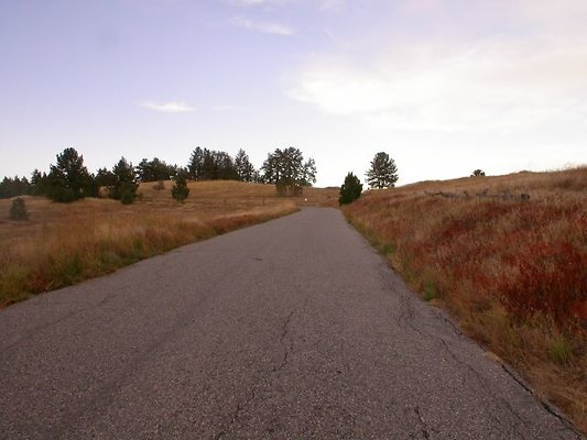 DSCN0832