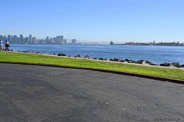 DSK 8796
