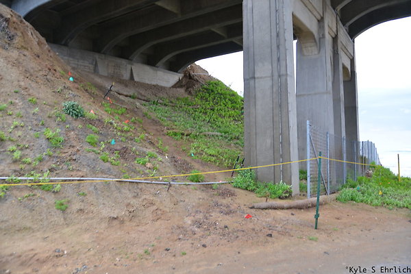 DSK 8597