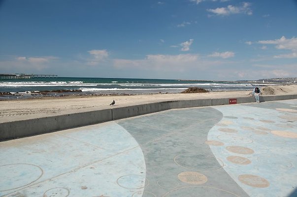 DSC 0560