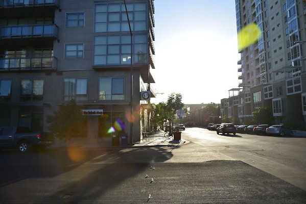 DSC 0484
