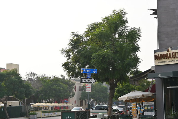 DSK 0275