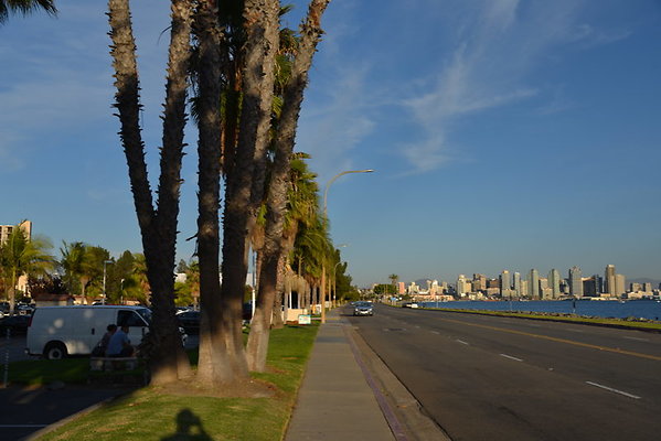 DSC 7678