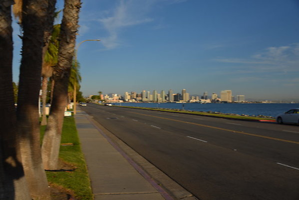 DSC 7697