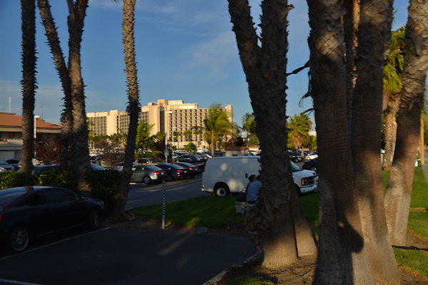DSC 7696