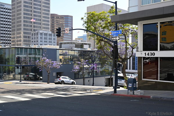 7018 Seventh and Ash
