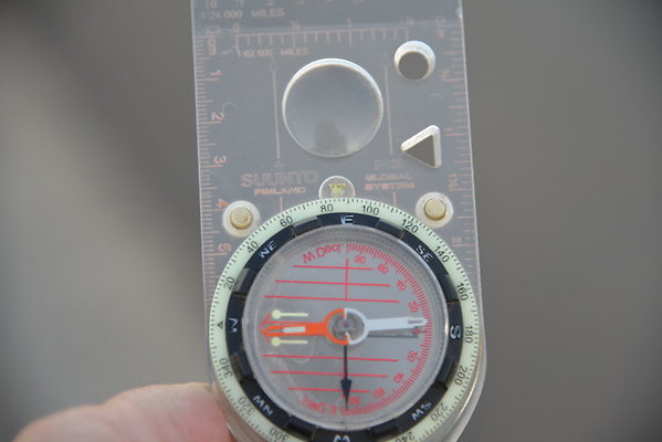DSC 7993
