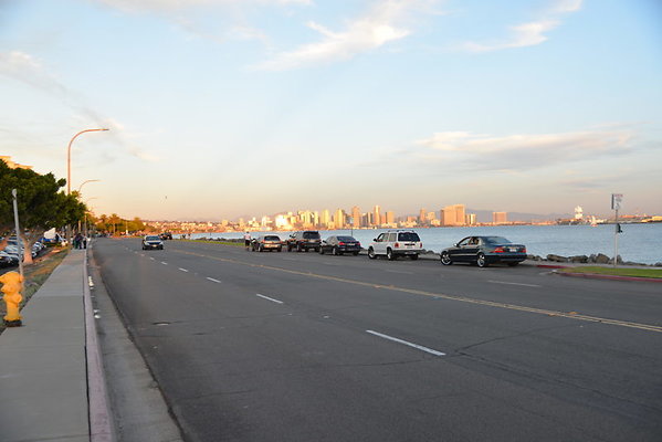 DSC 8005