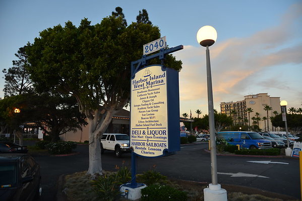 DSC 8133