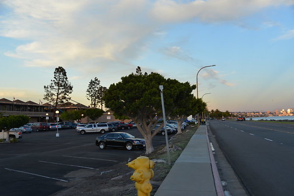DSC 8025