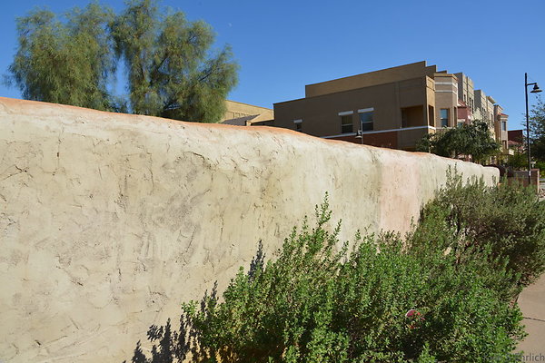 DSC 4437