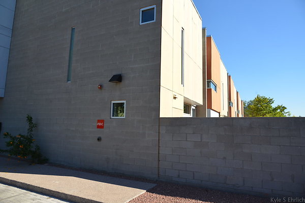 DSC 4420