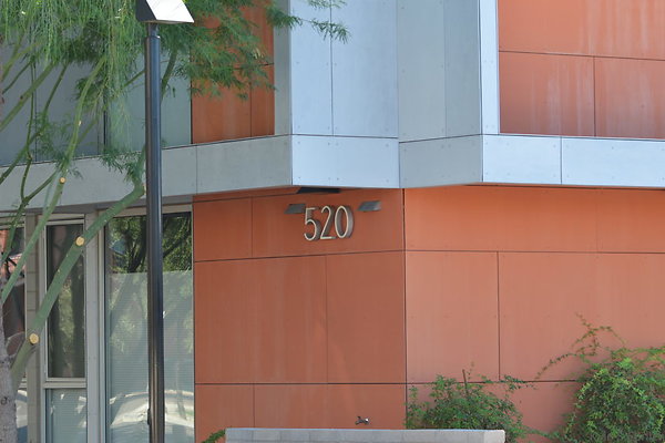 DSC 4384