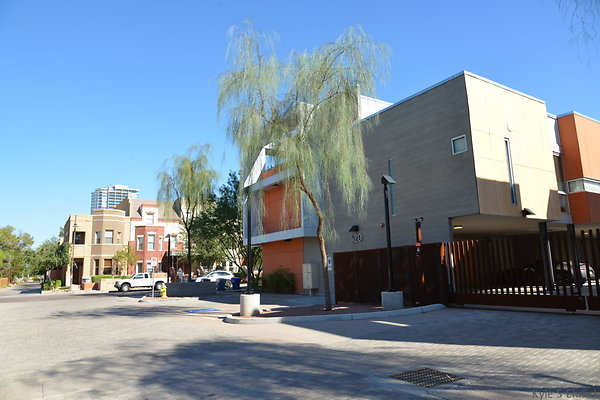DSC 4421