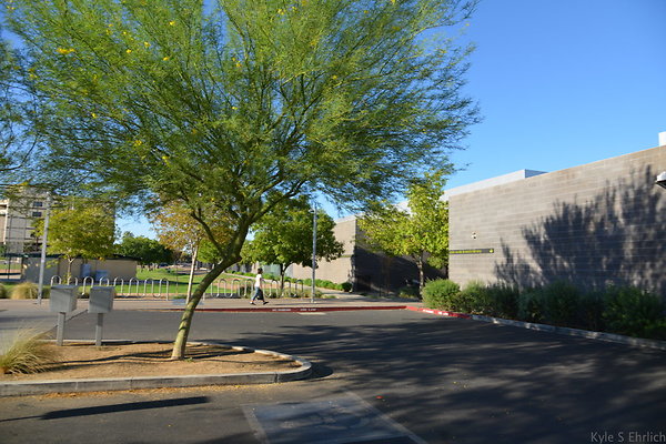 DSC 4568