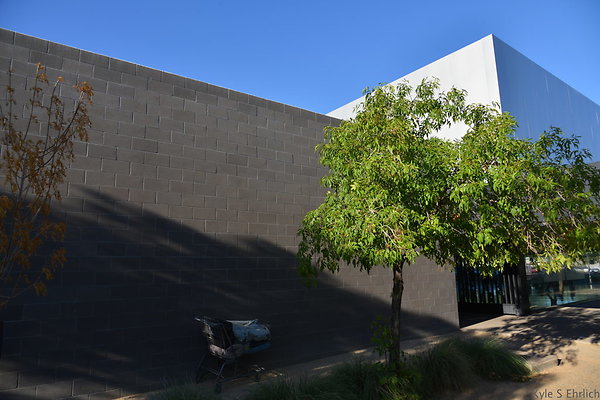 DSC 4558