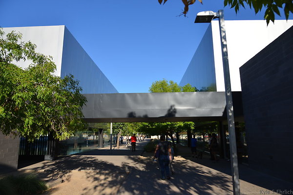 DSC 4556