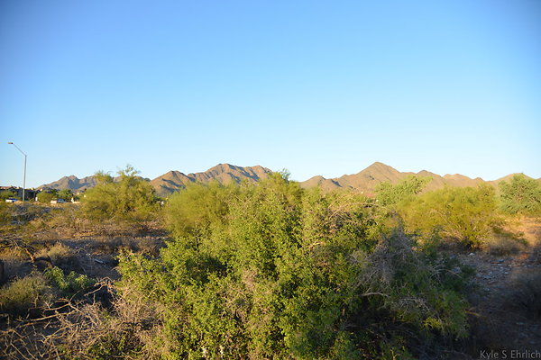 DSC 1138