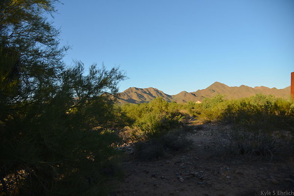 DSC 1124