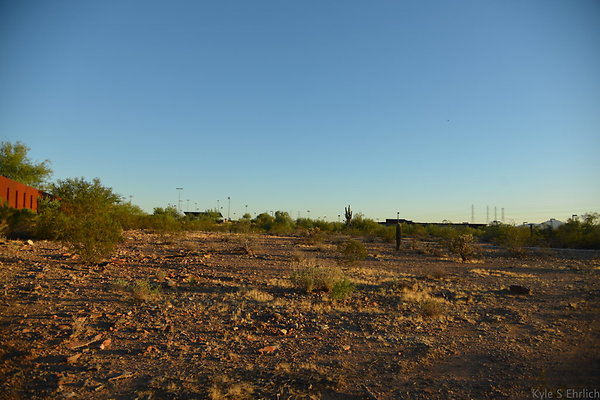 DSC 1129