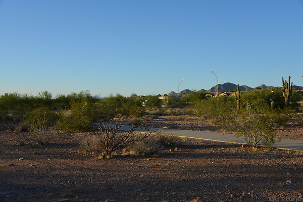 DSC 1082