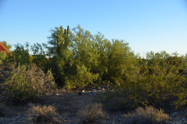 DSC 1135