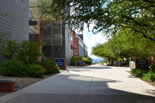 2092 Univ AZ Bio 5 D
