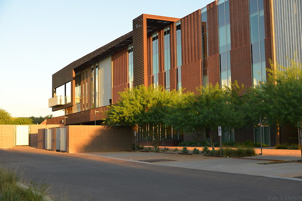 DSC 5619