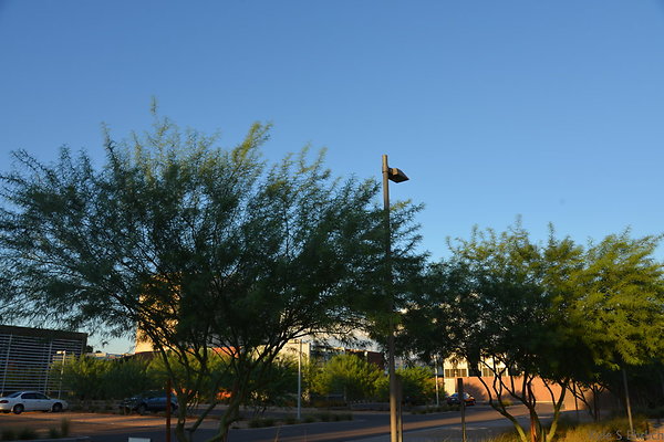 DSC 5560