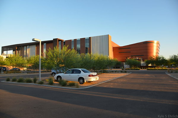 DSC 5591