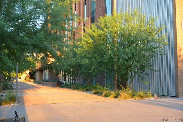 DSC 5637