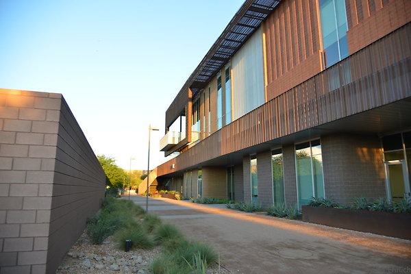 DSC 5653