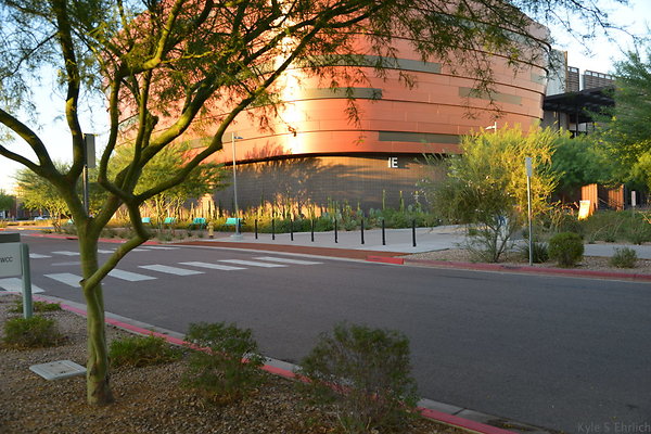 DSC 5533