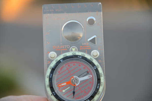 DSC 5617