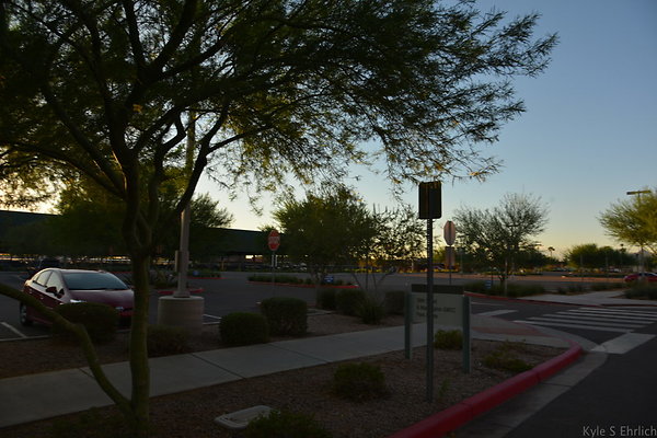 DSC 5541