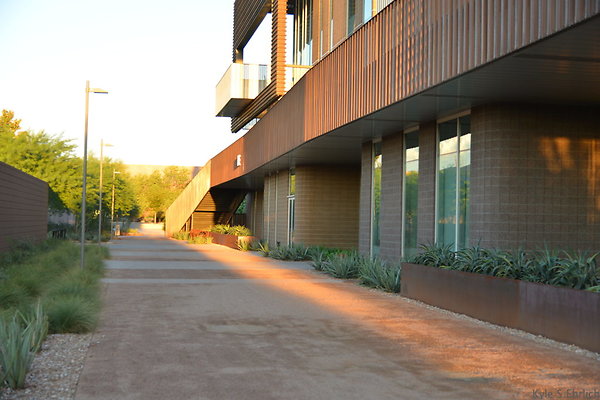 DSC 5647