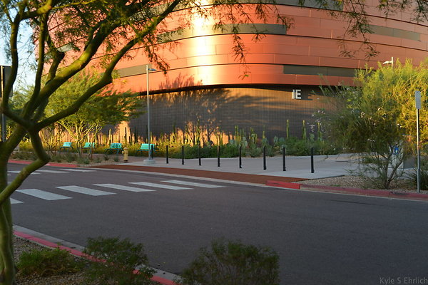 DSC 5534