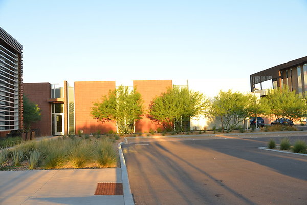DSC 5593