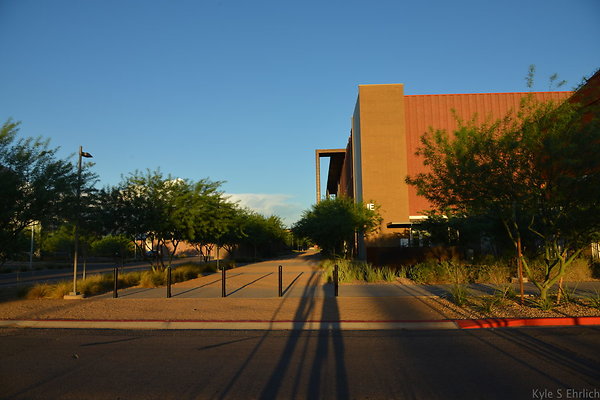 DSC 5554