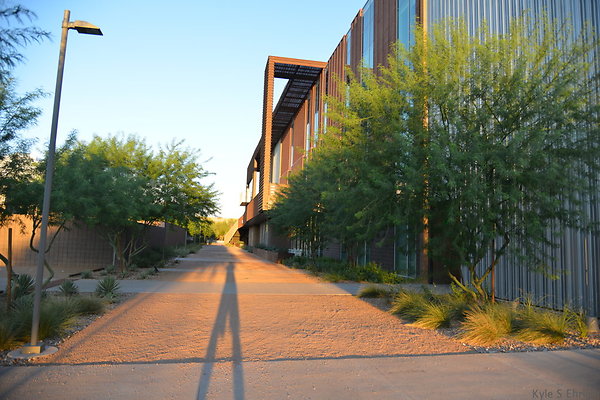 DSC 5638