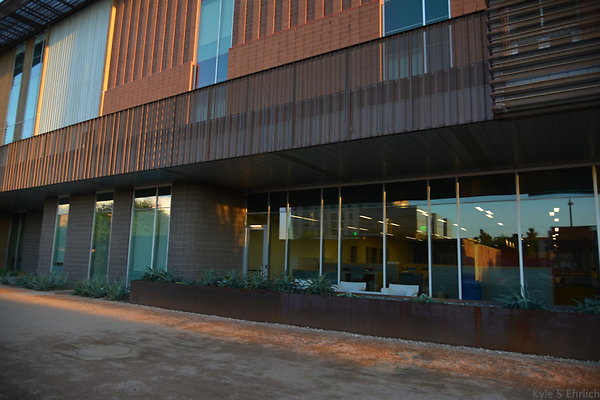 DSC 5654