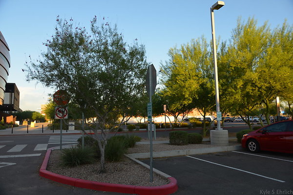 DSC 5524