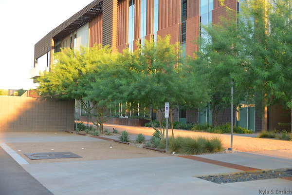 DSC 5631
