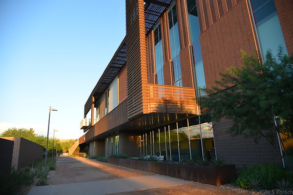 DSC 5639