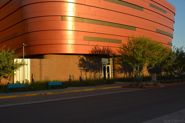 DSC 5547