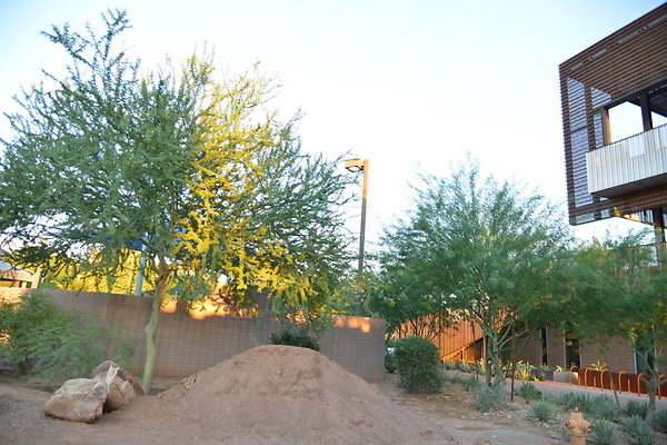 DSC 5668