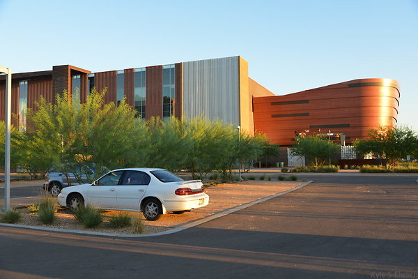 DSC 5594