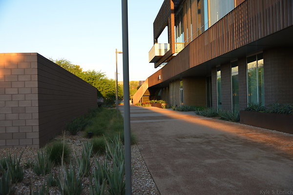 DSC 5648
