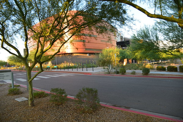 DSC 5532