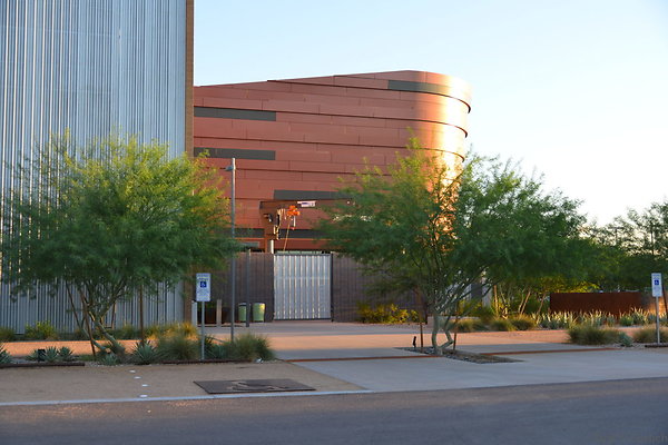 DSC 5613